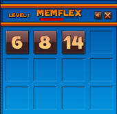 Memflex