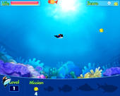 Fische 4